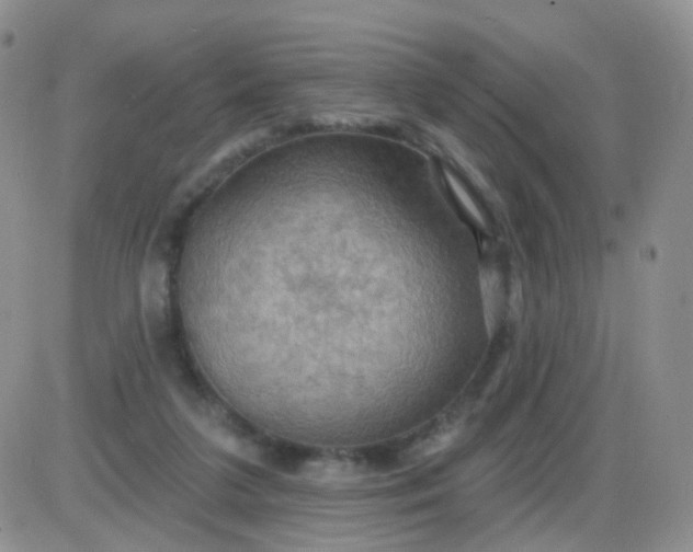 X0000085300211200703231906