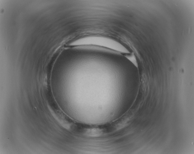 X0000085300212200703231906