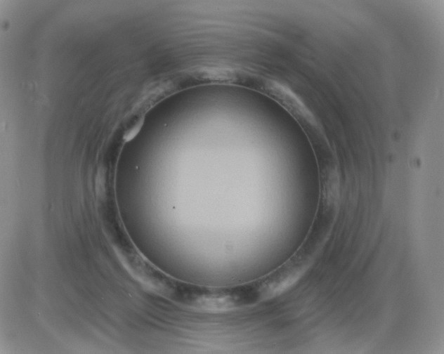 X0000085300213200703231906