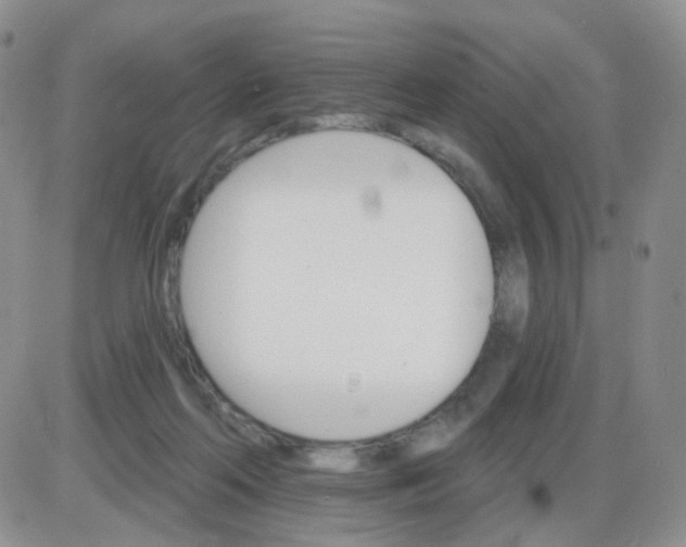 X0000085300214200703231906