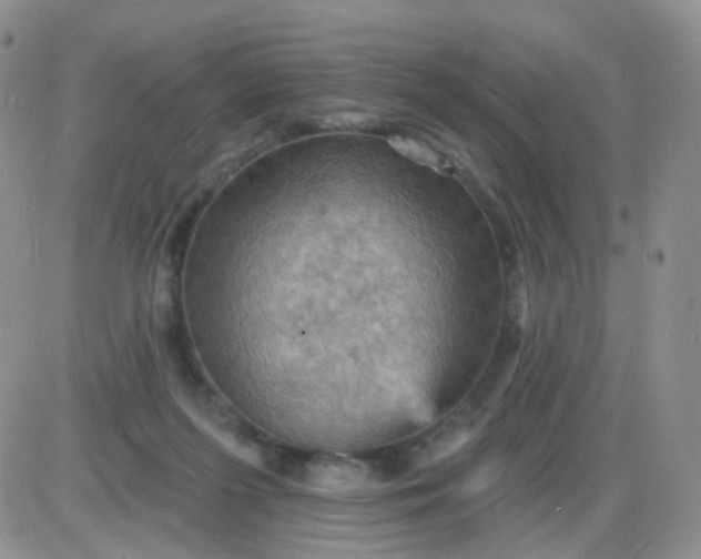 X0000085300215200703231906