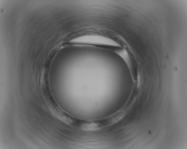 X0000085300217200703231906