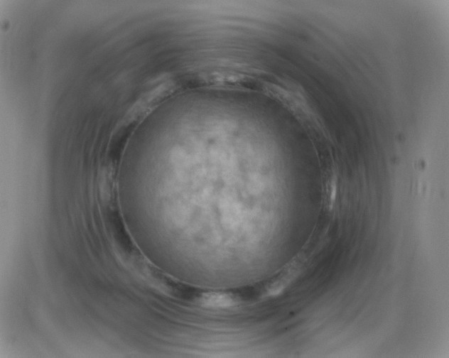 X0000085300218200703231906