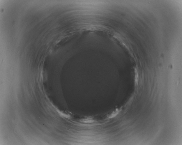 X0000085300219200703231906