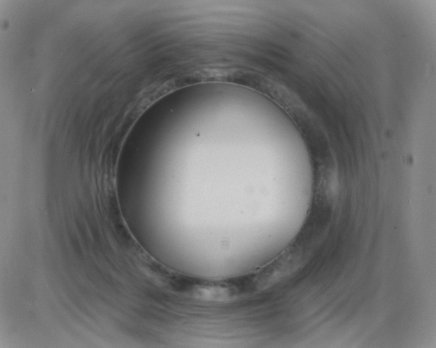 X0000085300220200703231906