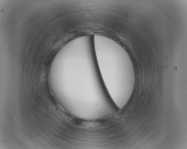 X0000085300221200703231906