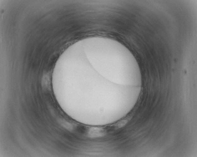 X0000085300222200703231906