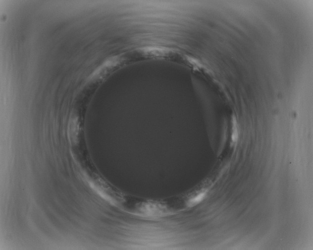 X0000085300223200703231906