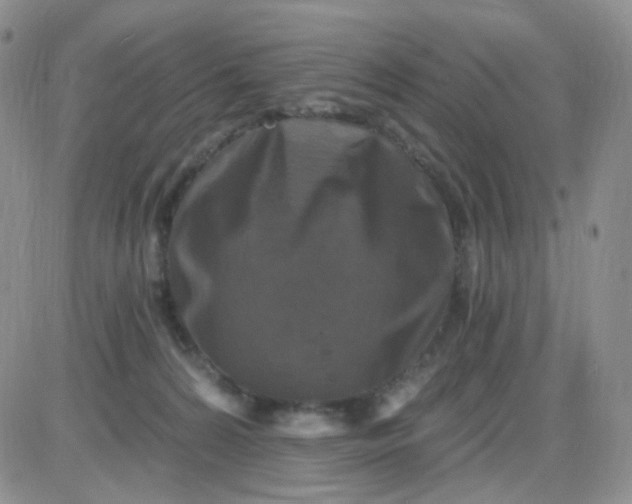 X0000085300224200703231906