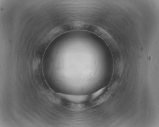 X0000085300225200703231906