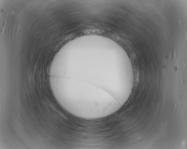 X0000085300226200703231906