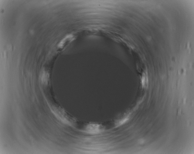 X0000085300227200703231906