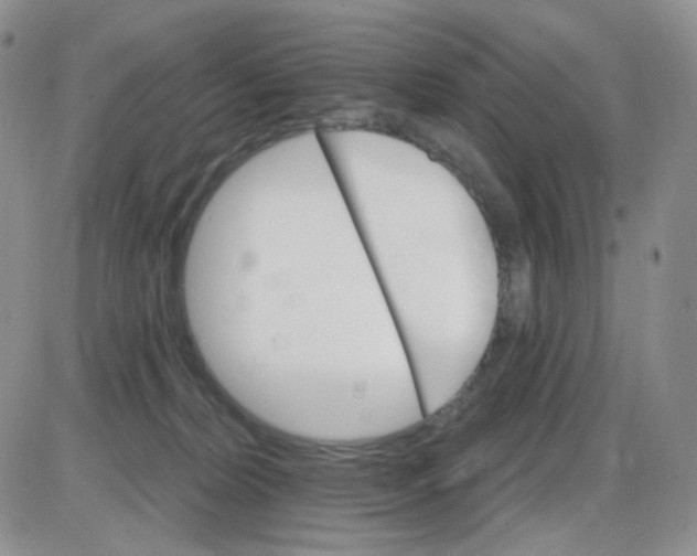 X0000085300228200703231906