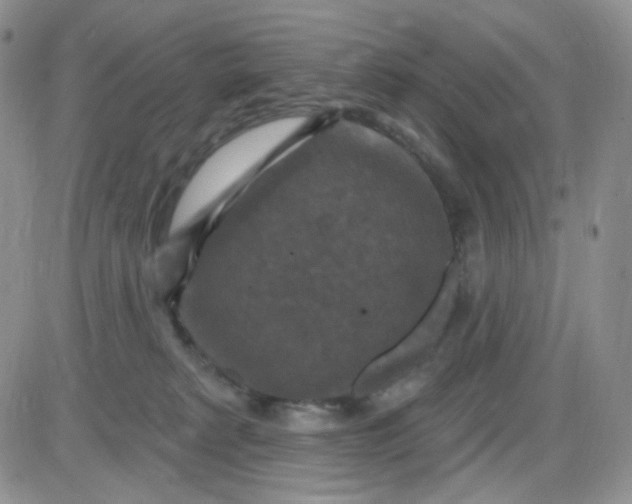 X0000085300229200703231906