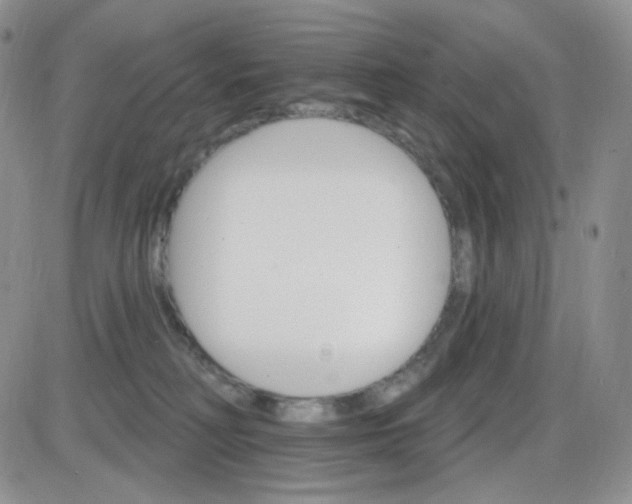 X0000085300230200703231906