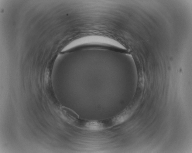 X0000085300231200703231906