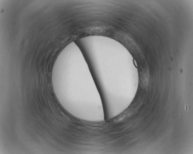 X0000085300232200703231906