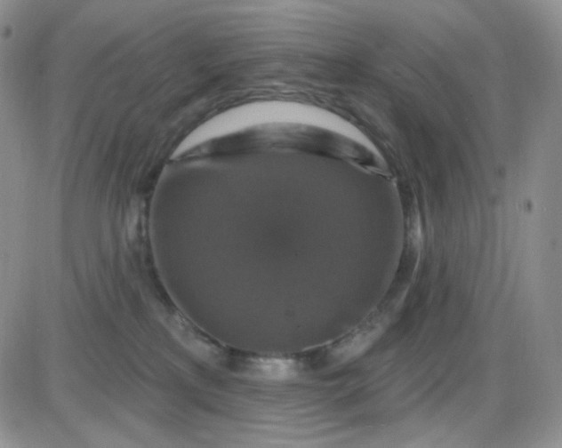 X0000085300233200703231906