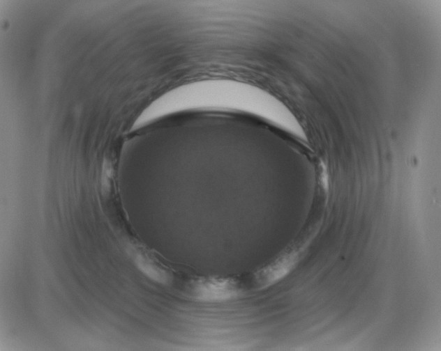 X0000085300235200703231906