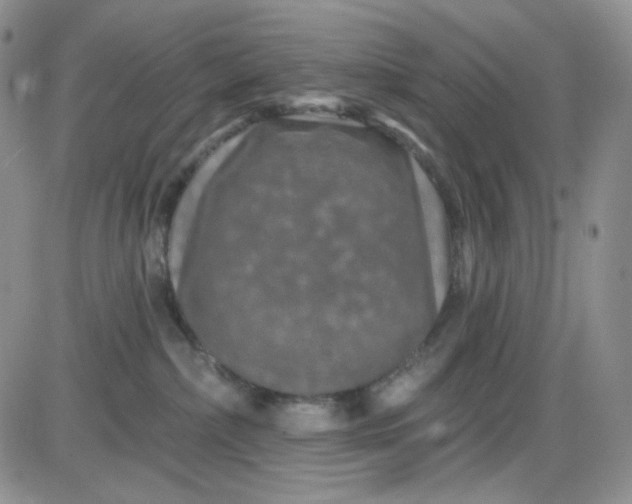 X0000085300236200703231906