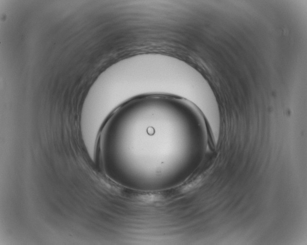 X0000085300237200703231906