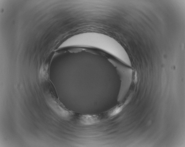 X0000085300239200703231906