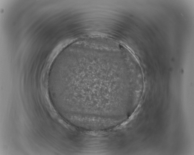 X0000085300241200703231905