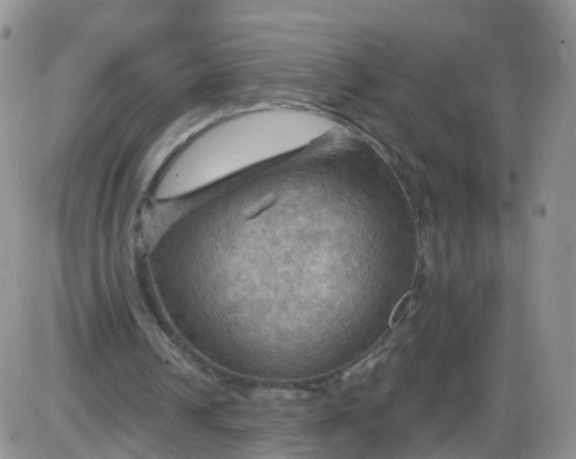 X0000085300242200703231905