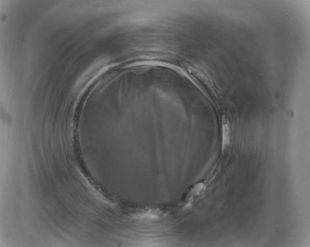 X0000085300243200703231905