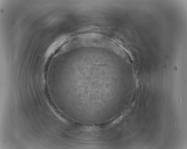 X0000085300245200703231905