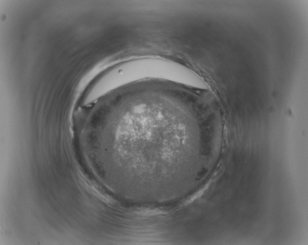 X0000085300246200703231905