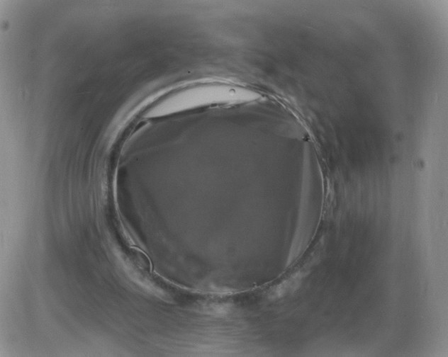 X0000085300247200703231905