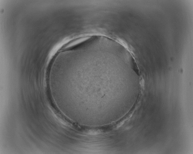 X0000085300248200703231905