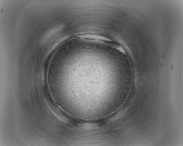 X0000085300251200703231905