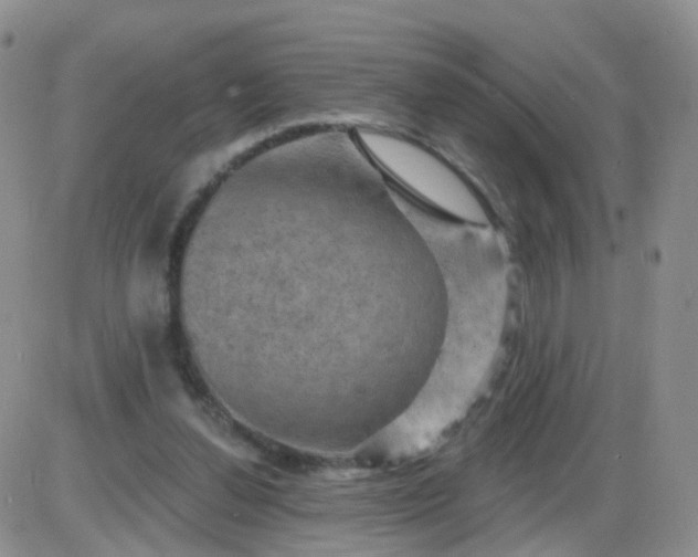 X0000085300252200703231905