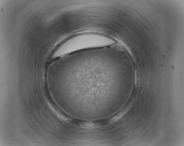 X0000085300253200703231905