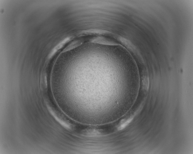 X0000085300254200703231905