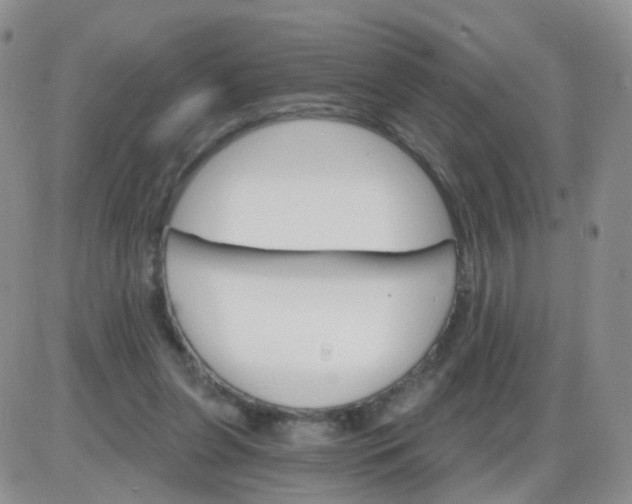 X0000085300255200703231905