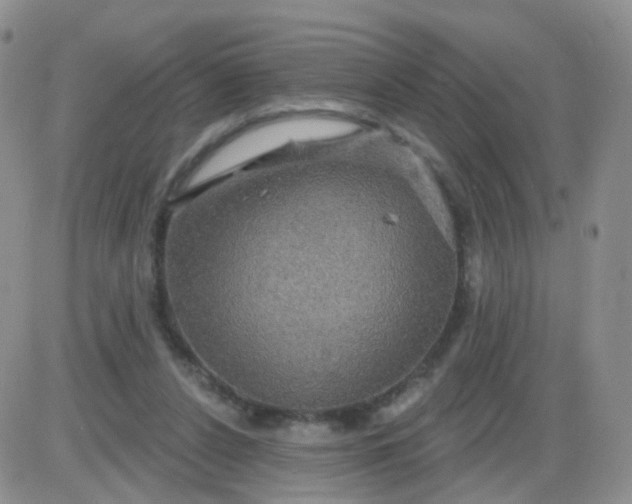 X0000085300256200703231905