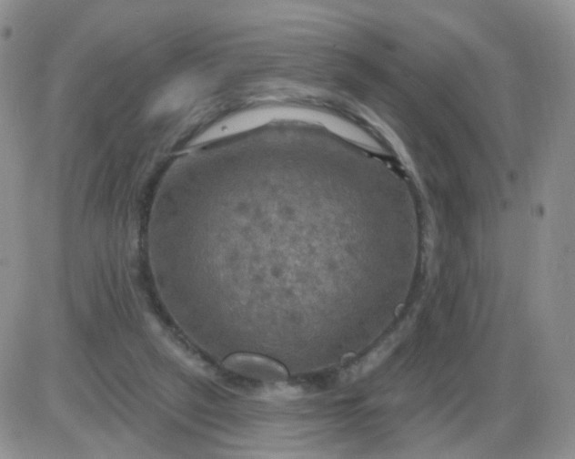 X0000085300257200703231905