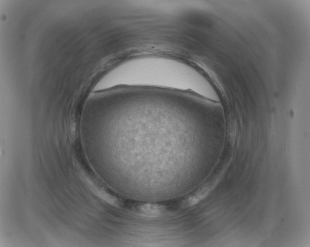 X0000085300261200703231906