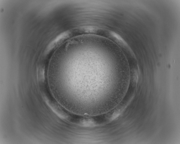 X0000085300262200703231906