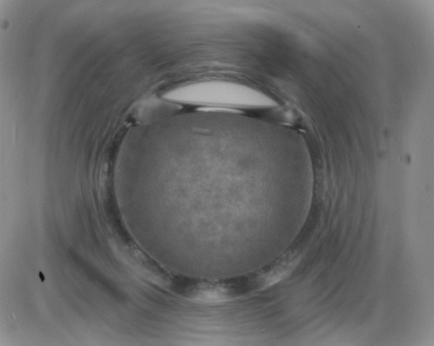 X0000085300263200703231906