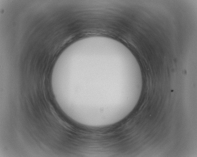 X0000085300264200703231906