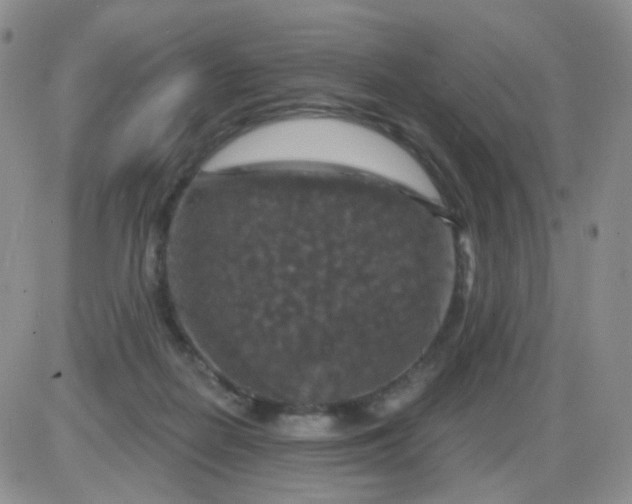 X0000085300266200703231906