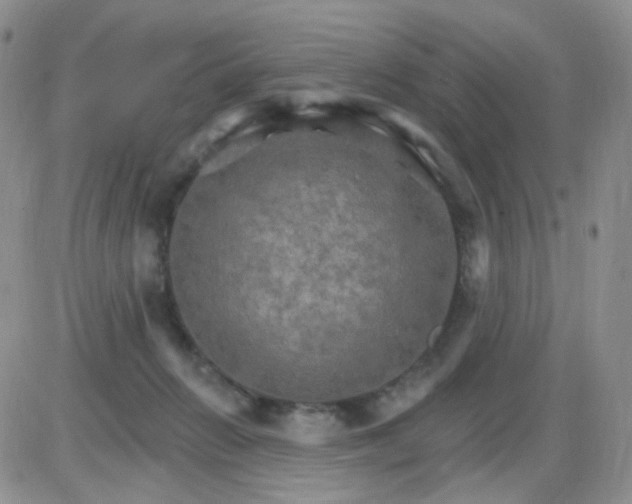 X0000085300270200703231906