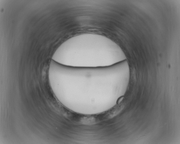 X0000085300271200703231906