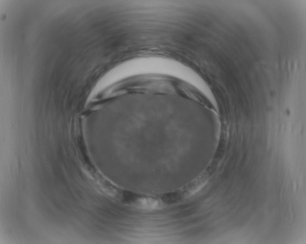 X0000085300272200703231906