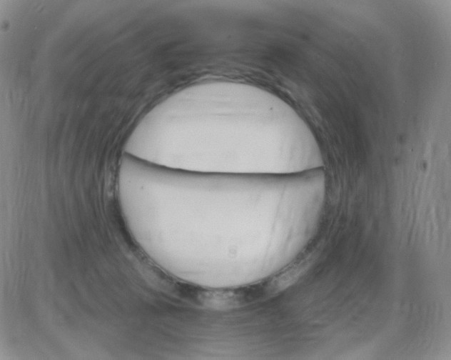 X0000085300273200703231906