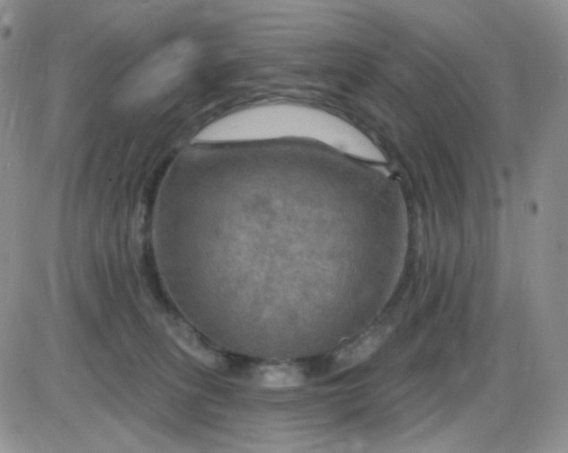 X0000085300275200703231906